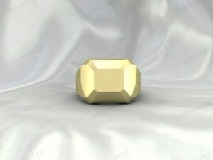 Fancy Signet Ring